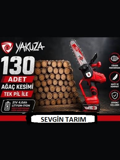 YAKUZA ŞARZLI TESTERE VE BUDAMA MAKİNASI